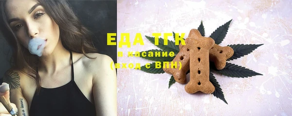стаф Арсеньев