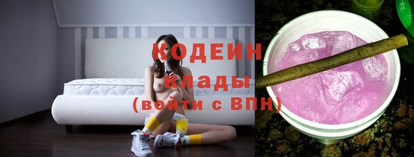 стаф Арсеньев