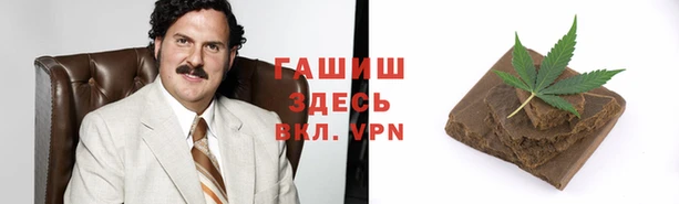 стаф Арсеньев
