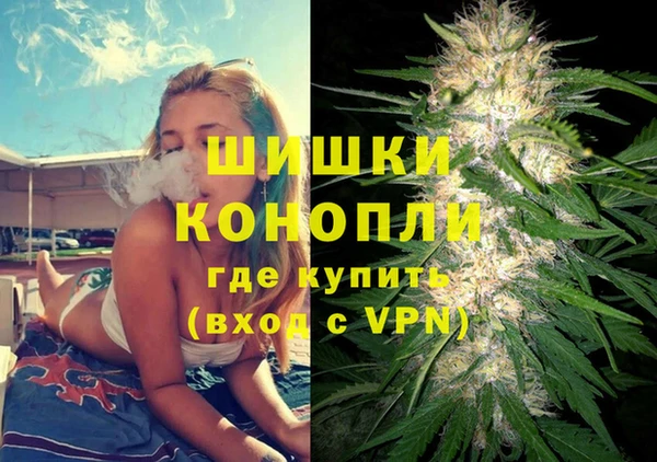 шишки Армянск