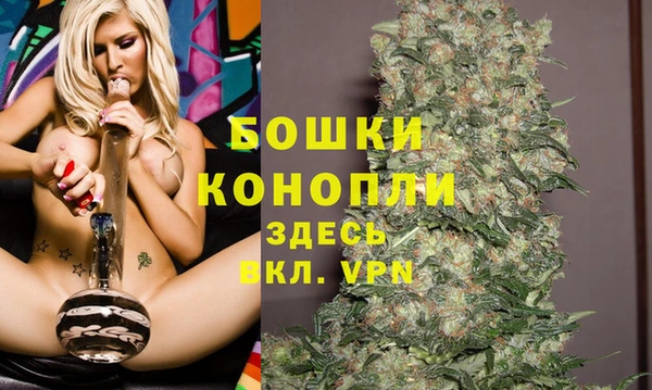 стаф Арсеньев
