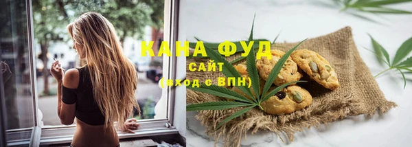 стаф Арсеньев